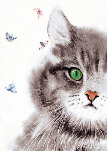 Картина по номерам Рыжий кот Пушистый кот Х-3895