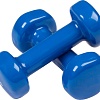 Гантели Indigo 92005 IR 2x1 кг (синий)