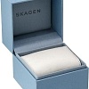 Наручные часы Skagen SKW6412