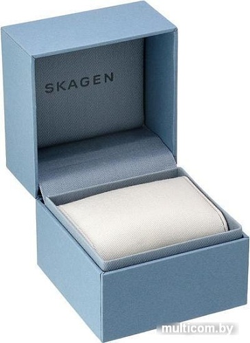 Наручные часы Skagen SKW6412