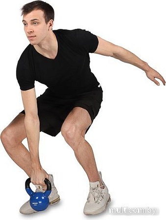 Гиря Indigo IN132 6 кг (черный/синий)