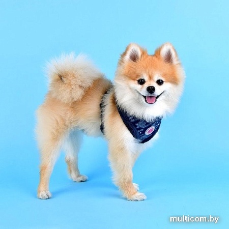 Шлейка Pinkaholic Mirabelle NASD-HA7502-NY-M (синий)