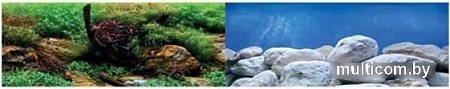 Фон Barbus Водный сад. Яркие камни Background 016 30 см х 62 см