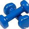 Гантели Indigo 92005 IR 2x1 кг (синий)
