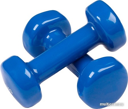 Гантели Indigo 92005 IR 2x1 кг (синий)