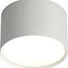 Спот Omnilux OML-100909-06