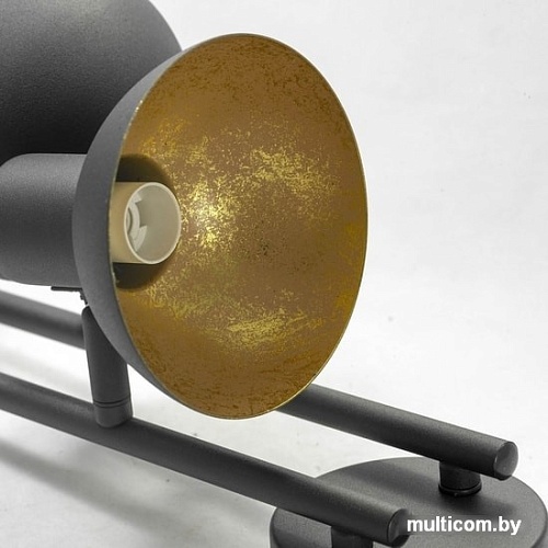 Спот Lussole Loft GRLSP-9976