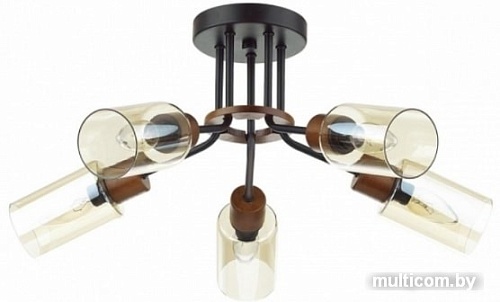 Люстра средней высоты Lumion Fern 4492/5C