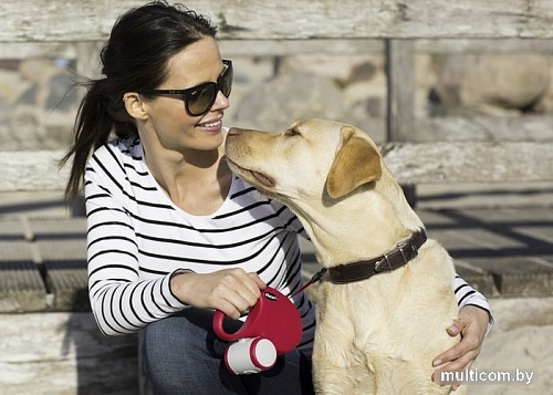 Flexi New Classic XS Cord 3 m (красный)