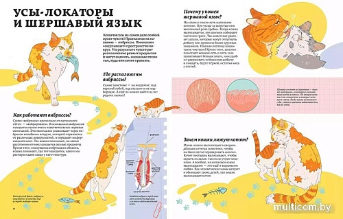 Энциклопедия издательства Альпина Паблишер. Секреты кошек. Как понять свою кошку и подружиться с ней (Рауш С.)