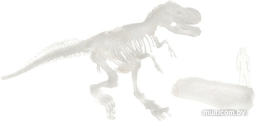 Набор для опытов Bondibon Науки с Буки Тираннозавр светящийся в темноте ВВ4206