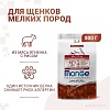 Сухой корм для собак Monge Dog Speciality Line Monoprotein Mini ягненок с рисом (800 г)