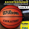 Баскетбольный мяч Wilson Evolution WTB0586XBEMEA (6 размер)