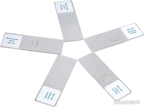 Набор для опытов Bondibon Науки с Буки Слайды для микроскопа насекомые ВВ2709