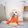 Свитер для животных Puppia Emmy PARA-TS1509-OR-M (оранжевый)
