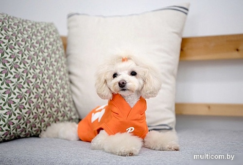 Свитер для животных Puppia Emmy PARA-TS1509-OR-M (оранжевый)