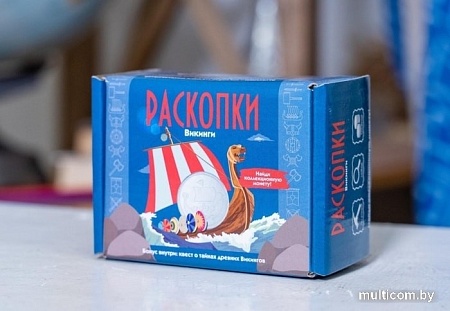 Набор для опытов Раскопки Викинги с монетой DIG-25