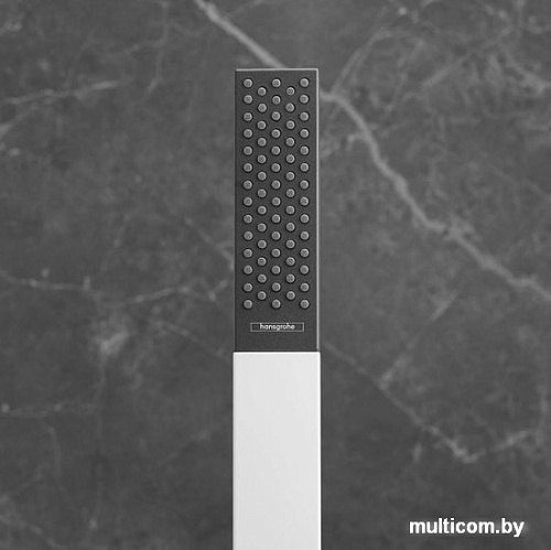 Душевой гарнитур Hansgrohe Rainfinity 100 1jet 26866670