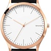 Наручные часы Skagen SKW1102