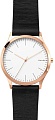 Наручные часы Skagen SKW1102