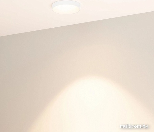 Точечный светильник Arlight MS-VOLCANO-BUILT-R65-6W Warm3000 033662