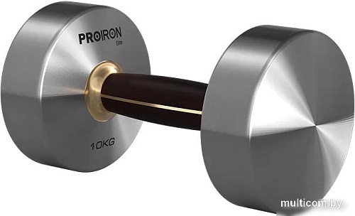 Гантель Proiron Г1100НЧ (10 кг)