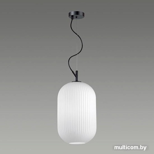 Подвесная люстра Odeon Light Roofi 4752/1