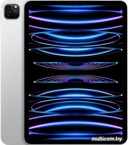 Планшет Apple iPad Pro 11" 2022 256GB (серебристый)