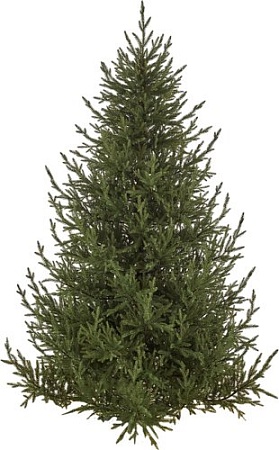 Ель Max Christmas Литая Лесная Симфония ЕЛСМЛ 18 (1.8м, подставка металл)