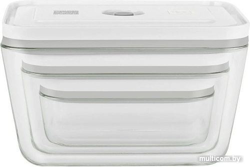 Набор контейнеров Zwilling Fresh&Save 36803-003