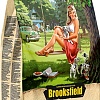 Сухой корм для собак Brooksfield Puppy говядина/рис 0.8 кг