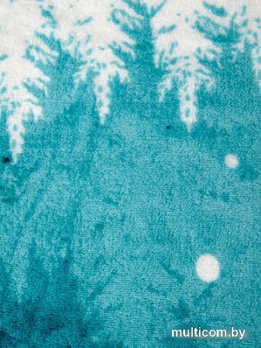 Плед Belezza Forest 200x220 (бирюза)