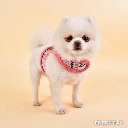 Шлейка-жилетка Pinkaholic Joy NASD-HJ7504-IP-L (розовый)