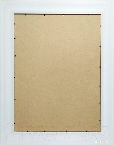 Фоторамка Декарт 50x70 8Л3602 (серебристый)