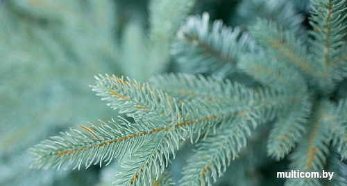 Ель Green Trees Россо премиум 1.5 м