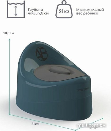Детский горшок Amarobaby Fort AB221102F/18 (бирюзовый)