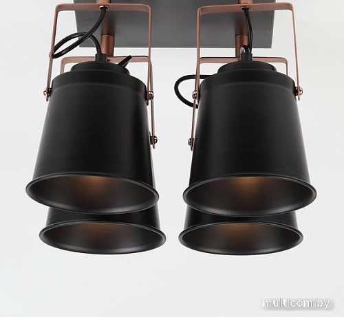 Спот Rivoli Acuto 7015-704 Б0044770