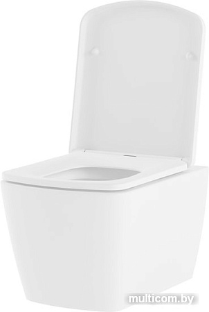 Унитаз Lavinia Boho Relfix Aveo Rimless 6 в 1 77050209 (белый пластик)