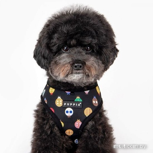 Шлейка-жилетка Puppia Lady Beetle-A PAWA-HA1957-BK-XL (черный)