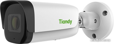 IP-камера Tiandy TC-C35US I8/A/E/Y/M/2.8-12mm/V4.0