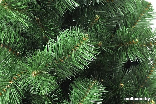 Ель Царь Елка Смайл 1.2 м