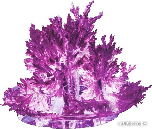 Набор для опытов Lori Лучистые кристаллы. Фиолетовый кристалл Лк-007