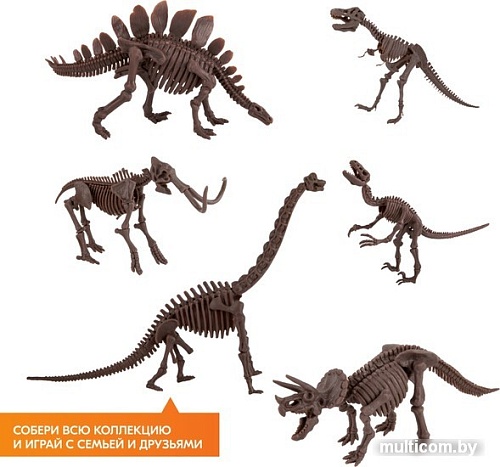 Набор для опытов 4M Раскопай скелет. Велоцираптор 00-13234