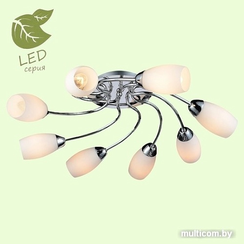 Подвесная люстра Lussole LGO GRLSP-0134