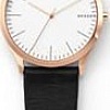 Наручные часы Skagen SKW1102