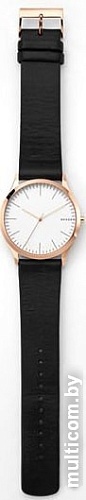 Наручные часы Skagen SKW1102