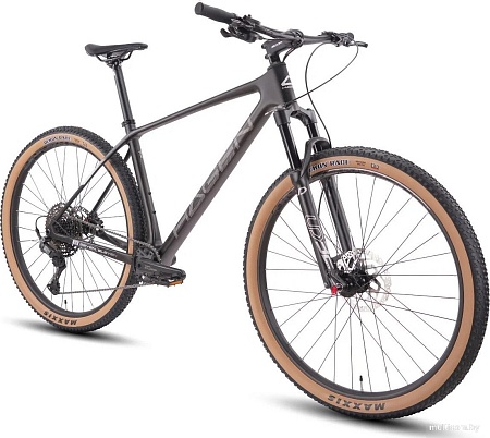 Велосипед Hagen 7.11 M 2025 (анодированный черный)