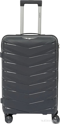 Чемодан-спиннер VALIGETTI 344-183/2-23DGR (серый)