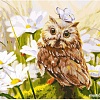 Картина по номерам Белоснежка Сова Везучка 3016-CS