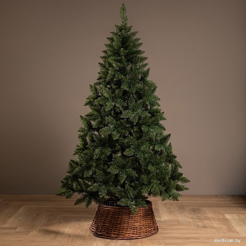 Ель Ёлушка Невская ЕНЕВ 21 (2.1м)